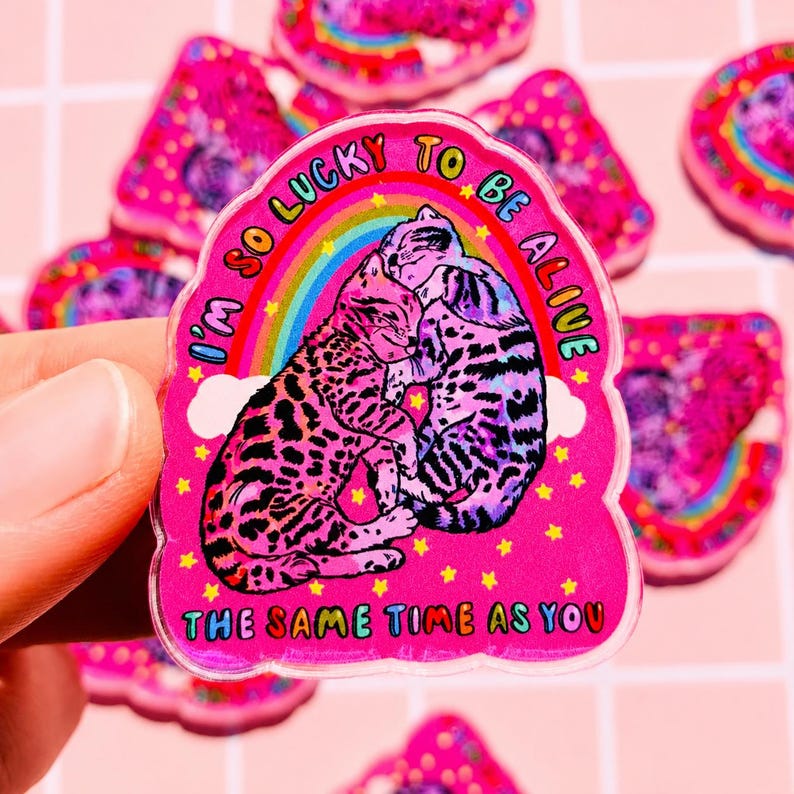 May include: A die-cut sticker with a vibrant pink background featuring two cats cuddling under a colourful rainbow and white clouds. The text reads I'M SO LUCKY TO BE ALIVE THE SAME TIME AS YOU, surrounded by small yellow stars and a glossy finish.