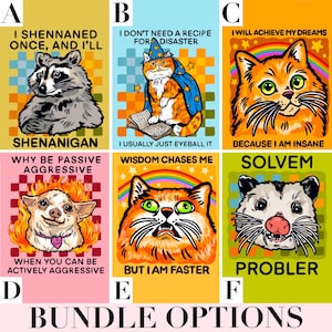 Custom Sticker Bundle Funny Car Decal Bulk Raccoon Sticker Cat Themed Gift Cute Laptop Sticker Water Bottle Unhinged Decal Personalized Her image 4