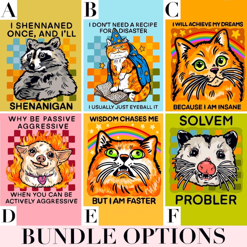 Custom Sticker Bundle Funny Car Decal Bulk Raccoon Sticker Cat Themed Gift Cute Laptop Sticker Water Bottle Unhinged Decal Personalized Her image 4