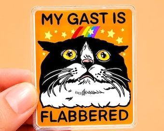 Divertente calamita a forma di gatto, regalo motivazionale e sarcastico per lei, regalo umoristico per lui, divertente calamita da frigo, scherzo da papà squilibrato, decorazione stravagante, bizzarra, strana