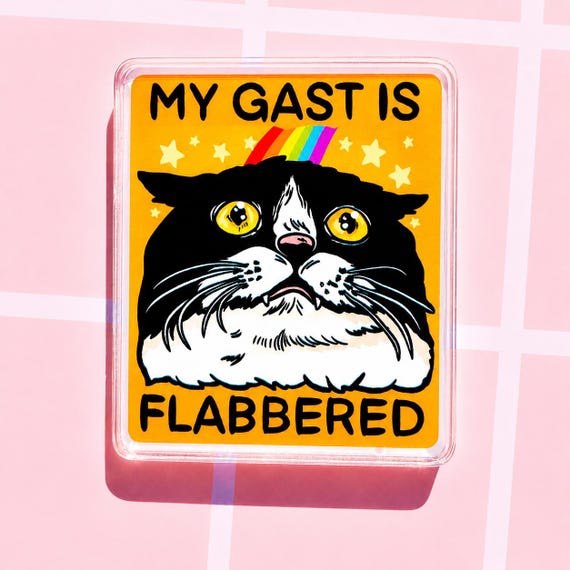 Funny Cat Magnet Motivational Sarcastic Gift for Her Humor Gift for Him Funny Fridge Magnet Unhinged Dad Joke Decor Quirky Goofy Weird