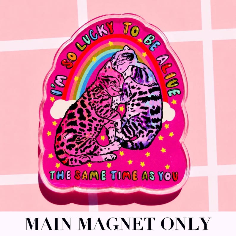May include: A pink acrylic magnet featuring two cats cuddling under a colourful rainbow and white clouds. The design includes yellow stars and the text I'M SO LUCKY TO BE ALIVE THE SAME TIME AS YOU in multi-coloured letters against a bright pink background.