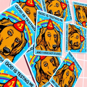 Puede incluir: Una colecci&oacute;n de pegatinas con un perro de dibujos animados con un gorro de fiesta. Cada pegatina tiene el texto "GOD IS TESTING ME" y "AND I HAVE NOT STUDIED" con un fondo de arco&iacute;ris y estrellas.