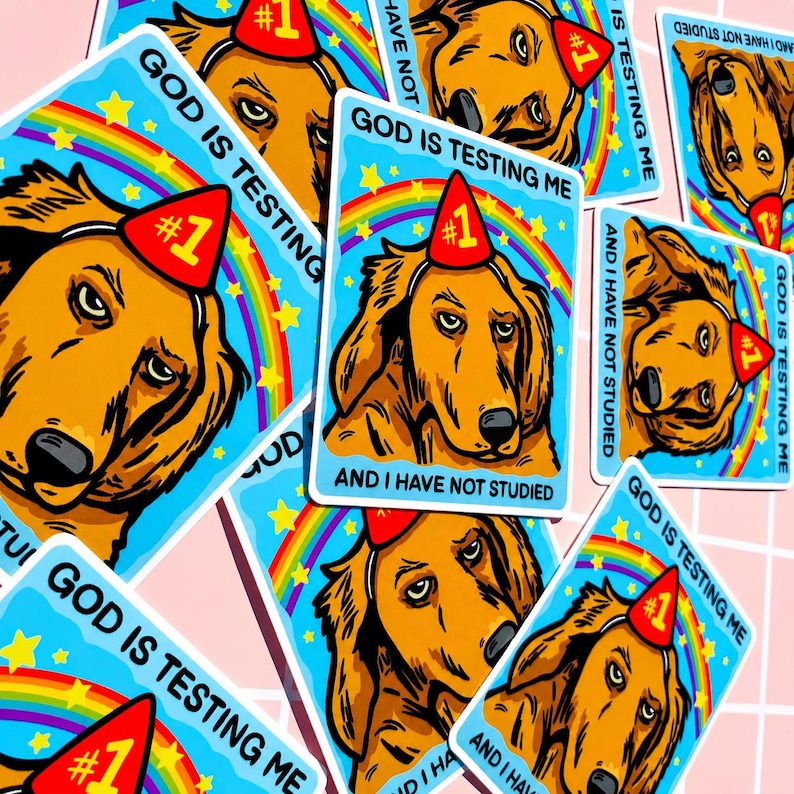 Puede incluir: Una colecci&oacute;n de pegatinas con un perro de dibujos animados con un gorro de fiesta. Cada pegatina tiene el texto "GOD IS TESTING ME" y "AND I HAVE NOT STUDIED" con un fondo de arco&iacute;ris y estrellas.