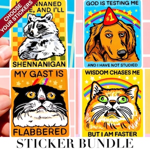 Puede incluir: Un paquete de pegatinas con cuatro dise&ntilde;os coloridos. Las pegatinas representan un mapache, un perro con un gorro de fiesta y dos gatos. Cada pegatina incluye texto humor&iacute;stico, como "Shennanigan" y "Flabbered".