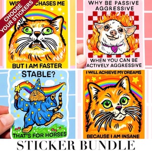 May include: A sticker bundle featuring four colorful designs. One sticker has an orange cat with the text "Why be passive aggressive when you can be actively aggressive." Another sticker has a cat wizard with the text "That's for horses."