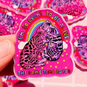 May include: A die-cut sticker featuring two cats cuddling against a rainbow and white clouds on a bright pink background with yellow stars. The text reads I'M SO LUCKY TO BE ALIVE THE SAME TIME AS YOU in colourful letters around the central cat illustration.