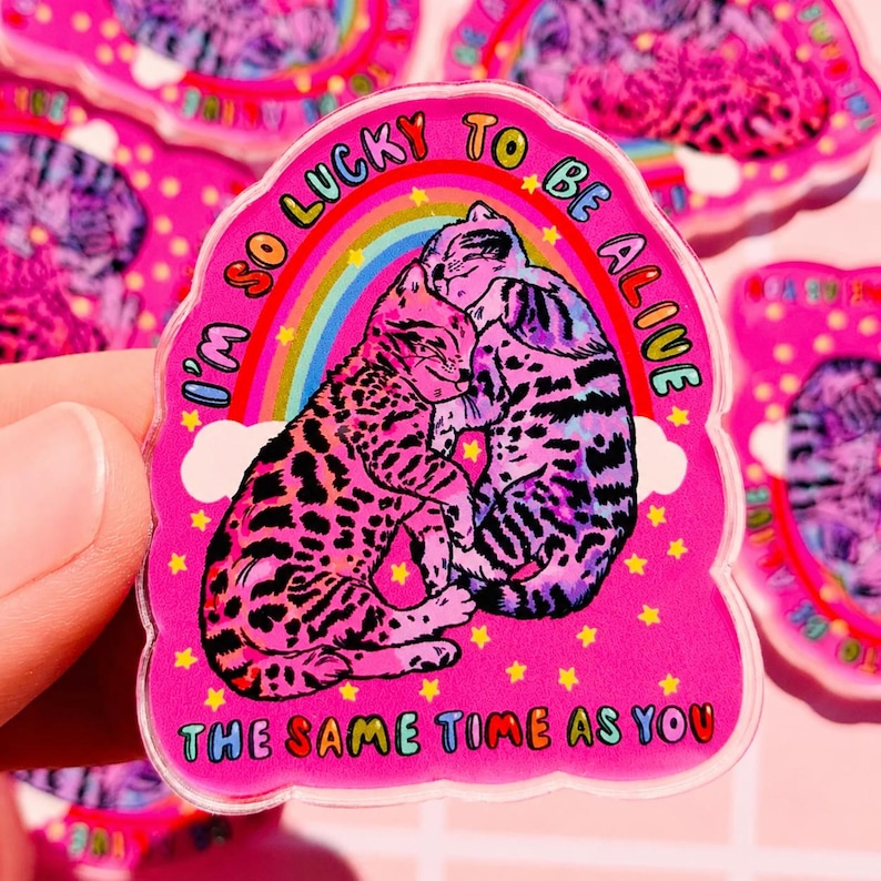 May include: A die-cut sticker featuring two cats cuddling against a rainbow and white clouds on a bright pink background with yellow stars. The text reads I'M SO LUCKY TO BE ALIVE THE SAME TIME AS YOU in colourful letters around the central cat illustration.