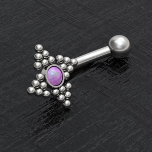 rook implant titanium