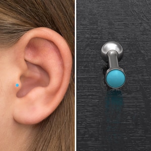 Surgical Steel Cartilage Piercing, Turquoise Tragus Earring, Forward Helix Stud, Conch Barbell, Tragus Barbell Earring, Cartilage Bar