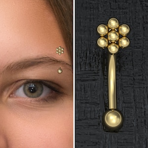 Eyebrow Jewelry Surgical Steel, Rook Piercing, Curved Barbell Piercing 18g 16g 14g, Eyebrow Ring, Rook Barbell, Eyebrow Bar
