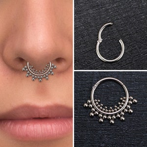Titan Septum Ring, Daith Ohrring Implant Grade, Septum Schmuck, Daith Schmuck, Septum Hoop, Daith Piercing, Septum Clicker