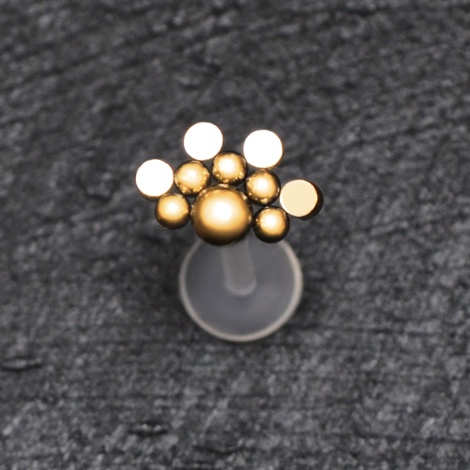 Piercing Labret Bioflex 1,2 Mm (16G) – Motif Libellule Turquoise, Or, Neuf Avec étiquettes
