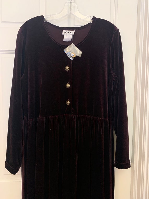 Vintage Velvet Dress — New