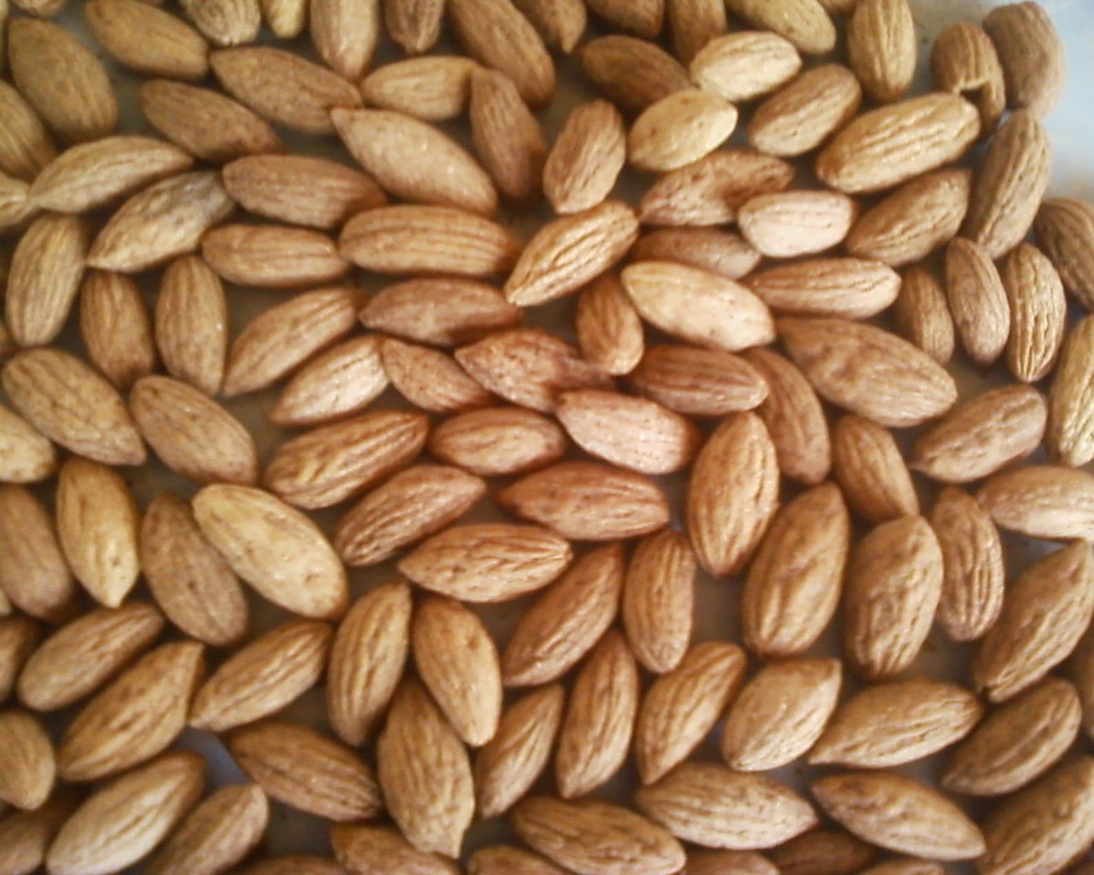 Olive seeds for planting