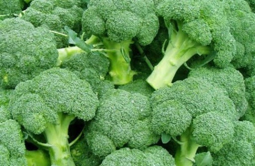 Broccoli Seeds | Etsy