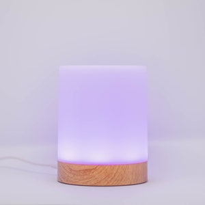 friendship lamp etsy