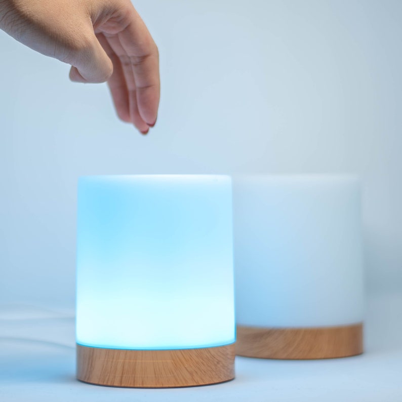 Relationship Gift Friendship Lamps set of 2 Lamps Etsy Canada