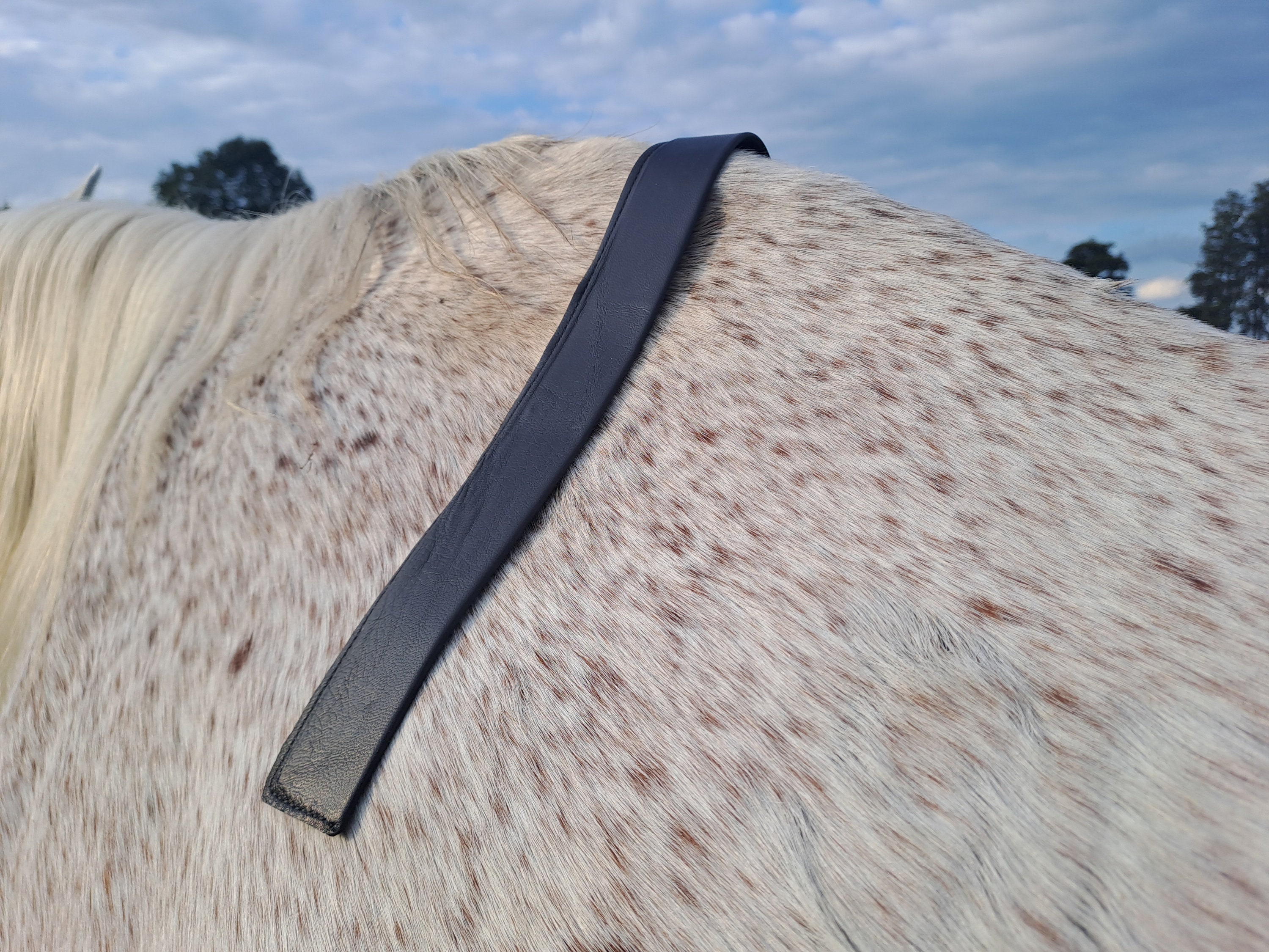 Flocking Irons, Saddle Fitting Tools, Saddle Flocking Tools, Flocking