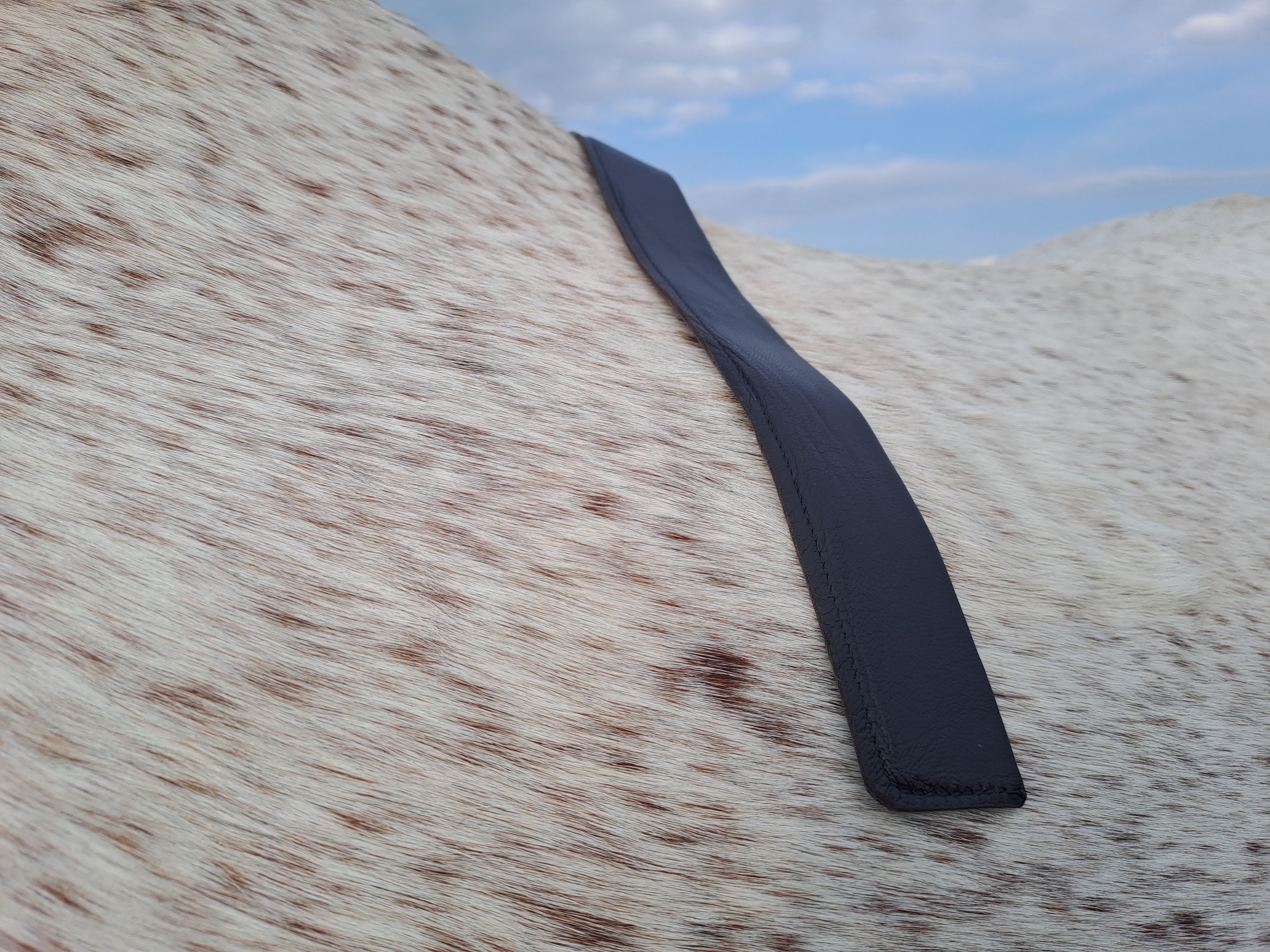 Flocking Irons, Saddle Fitting Tools, Saddle Flocking Tools, Flocking