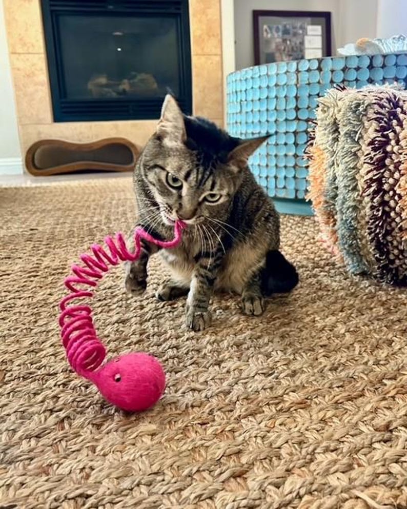 88 Springy Handmade Wool Caterpillar Cat Toy – Springy Felt Kicker for Playful ...