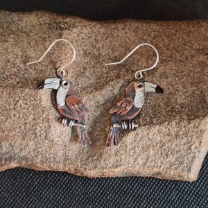 May include: A pair of toucan earrings made of copper and silver. The toucans are painted with brown, white, and black accents. The earrings are hanging from silver hooks.