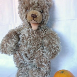 Teddy Bear Zotti Hermann Bear 1970 Teddybear bear Vintage