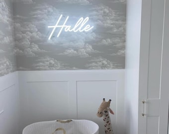 Custom Name Neon Sign for Kids Personalized Neon Sign for Bedroom Custom LED Lights Kids Room Decor, Home Decor Birthday Gift for Kids
