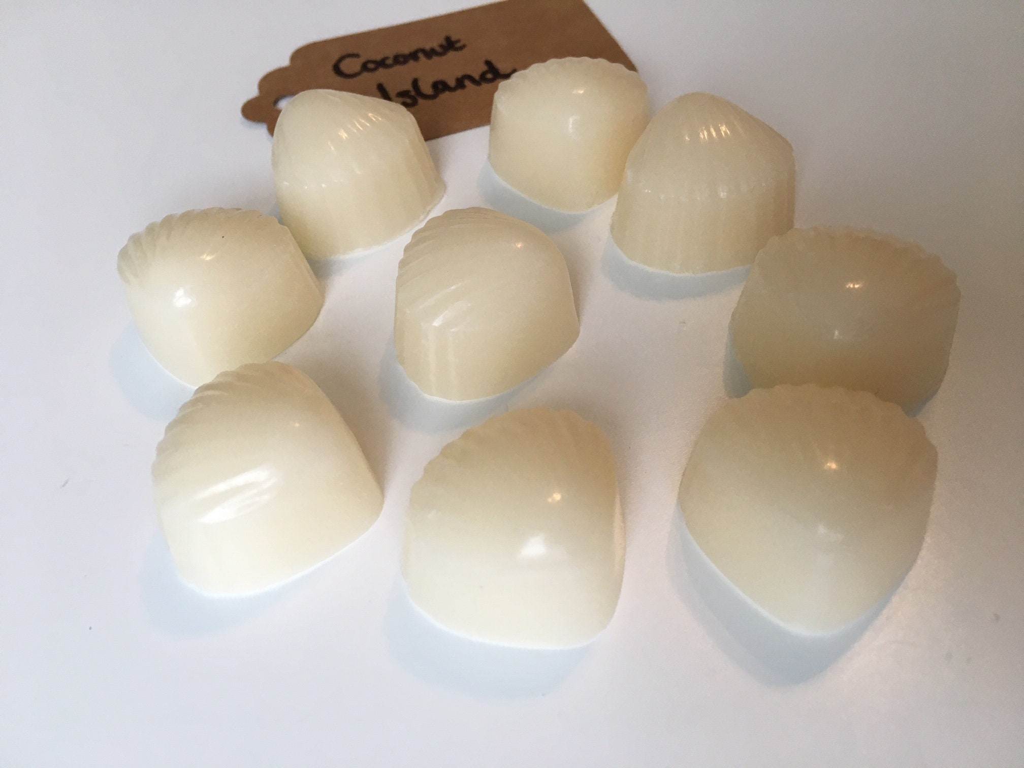 Coconut Island Wax Melts Vanilla Coconut Wax Melts Hand Made Summer