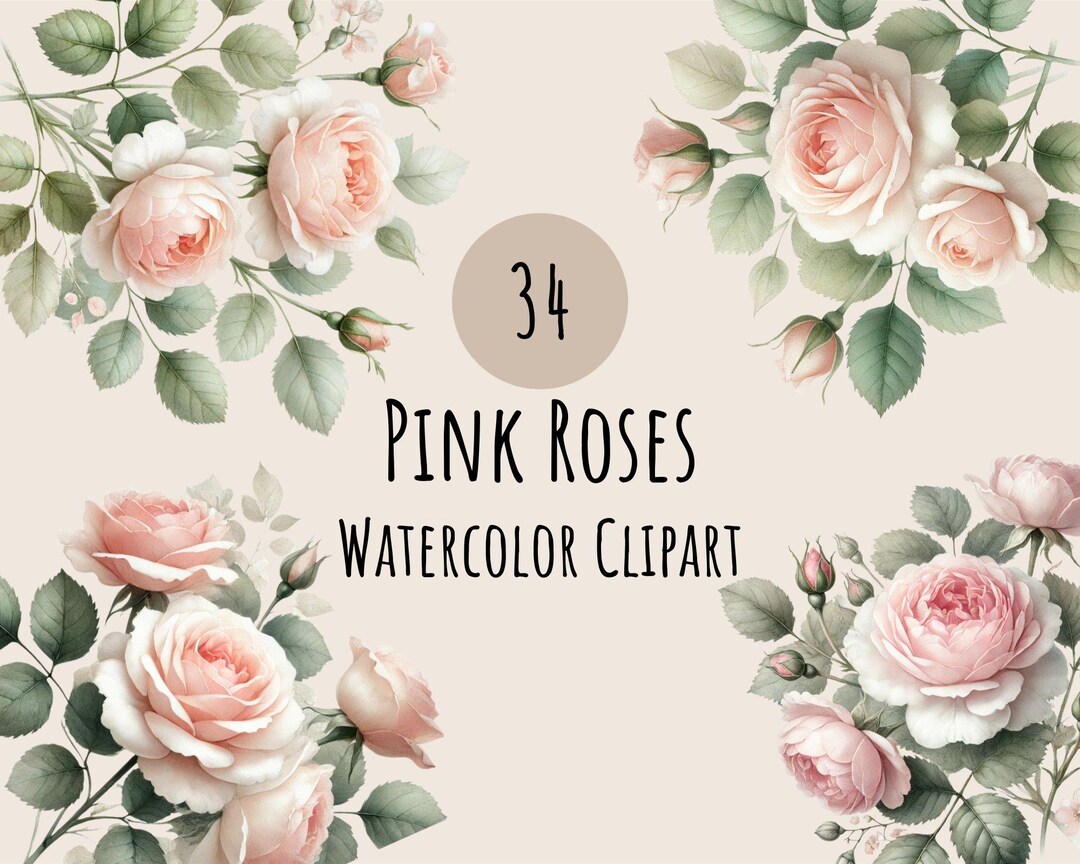 Pink Roses Watercolor Clipart, Floral Bouquet PNG (commercial Use ...