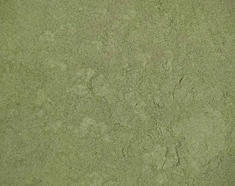 Bavarian Green Earth - Kremer Künstler Trockenpulver-Pigmente