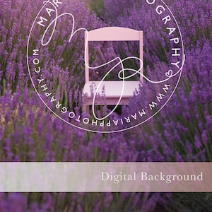 Digital Background - Lavender field with chair prop, summer field, purple, photoshop, composite