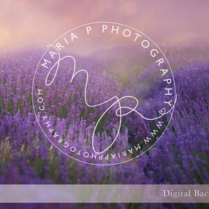 Digital Background Lavender Field Morning, Lavender field photograph, Photoshop composite, Ready to add your subject