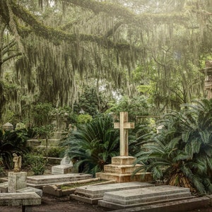 Bonaventure Historic Cemetery in Savannah, Ga fine art print