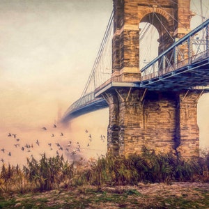 Birds in Flight, Roebling Bridge Cincinnati Ohio - fine art print,  Photography