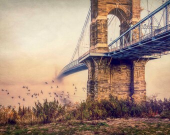 Birds in Flight, Roebling Bridge Cincinnati Ohio - fine art print,  Photography
