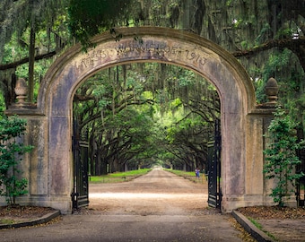 Wormsloe Plantation, Savannah, GA - fine art print,  photography (Art Prints, Giclees)