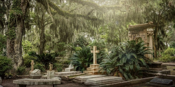 Bonaventure Historic Cemetery in Savannah, Ga Fine Art Print