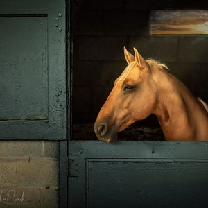 Keenland, Horse, Kentucky fine art print