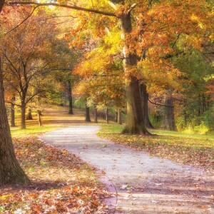 Eden Park à l’automne