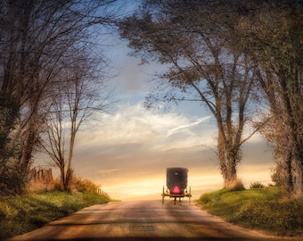 Home From the Market - A Holmes County Amish Buggy