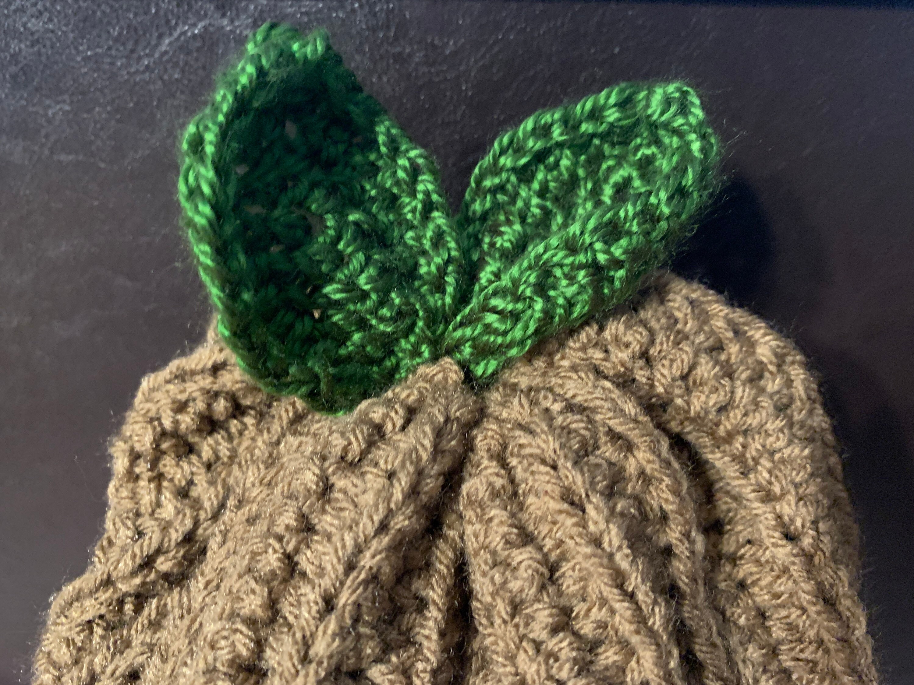 Crocheted Sprout Beanie and Flower Plush Etsy