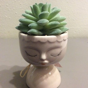 Faux Succulent in Face Planter