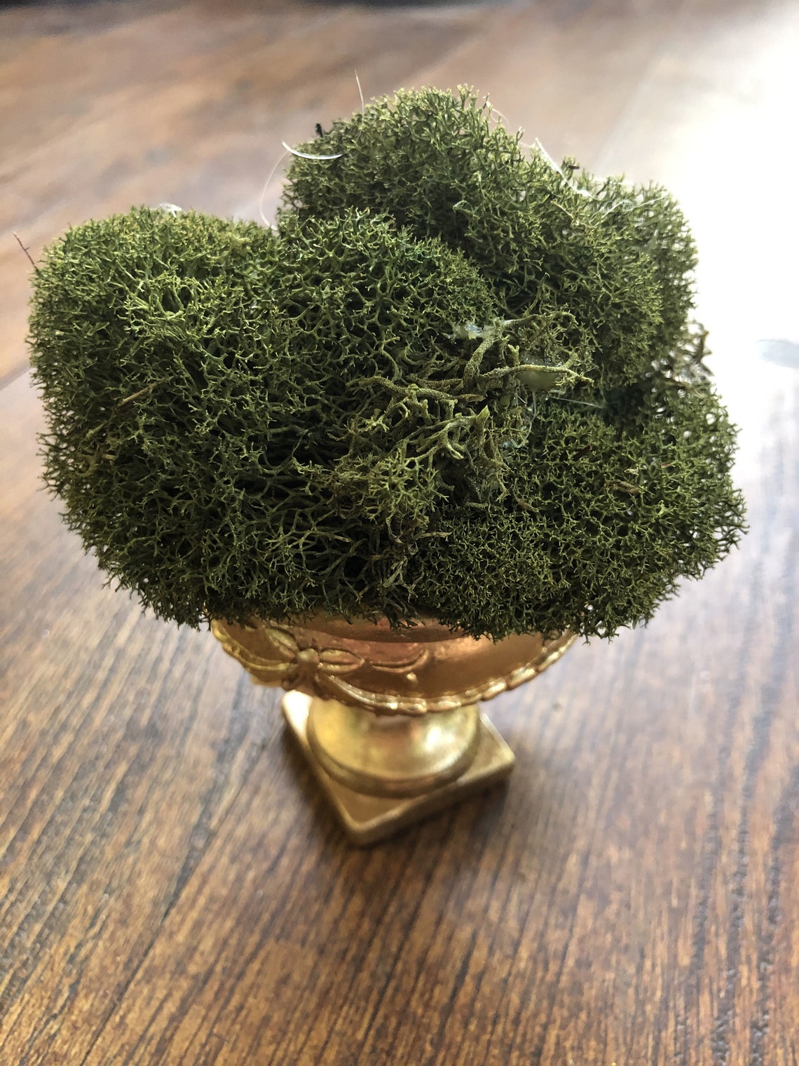 Moss Arrangement in Short Gold Vase Etsy