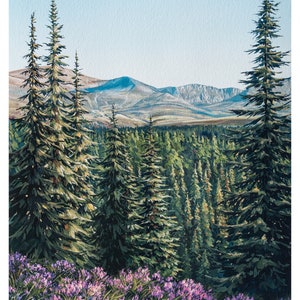 Cairngorms National Park Scottish Highlands Art Print