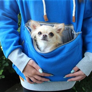 May include: A blue hoodie with a zippered pouch for a small dog. A small, white and tan chihuahua is sitting in the pouch, looking at the camera.