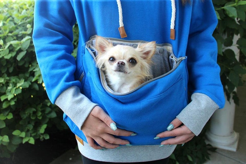 May include: A blue hoodie with a zippered pouch for a small dog. A small, white and tan chihuahua is sitting in the pouch, looking at the camera.