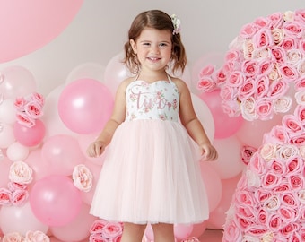 Tweede verjaardag jurk één verjaardag outfit bloemenmeisjesjurk 2e verjaardag jurk roze tutu meisje eerste verjaardag jurk roze bloemen tutu