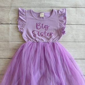 May include: Purple tulle dress with a purple short-sleeved shirt overlay. The shirt has a ruffled neckline and the text "Big Sister" in sparkly purple letters.