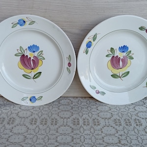 2 vintage plates with flowers, glazed porcelain plates, floral design plates with green rim, zik konakovo porcelain, vintage tableware